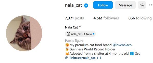 Nala Cat 