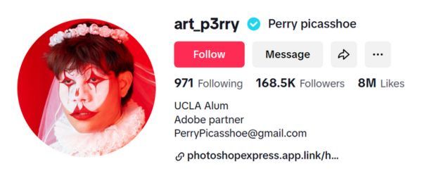 Perry Picasshoe
