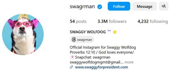 Swaggy Wolfdog