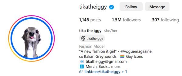tika the iggy